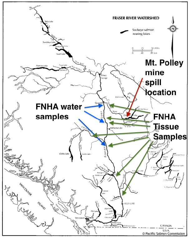 FNHA_Mt-Polley-Sample-Locations-Map.jpg