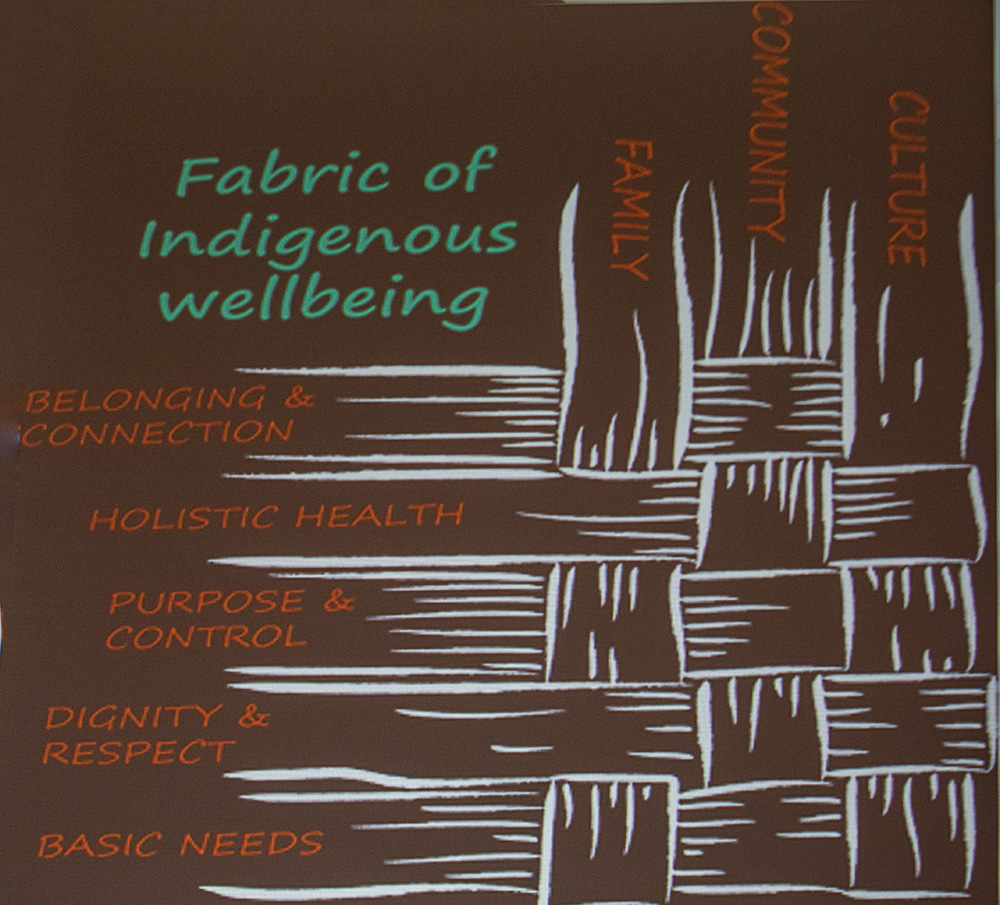 Fabric-of-Indigenous-Wellbeing.jpg