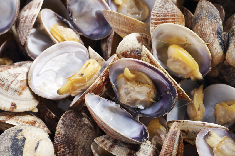 FNHA-Shellfish-photo.jpg