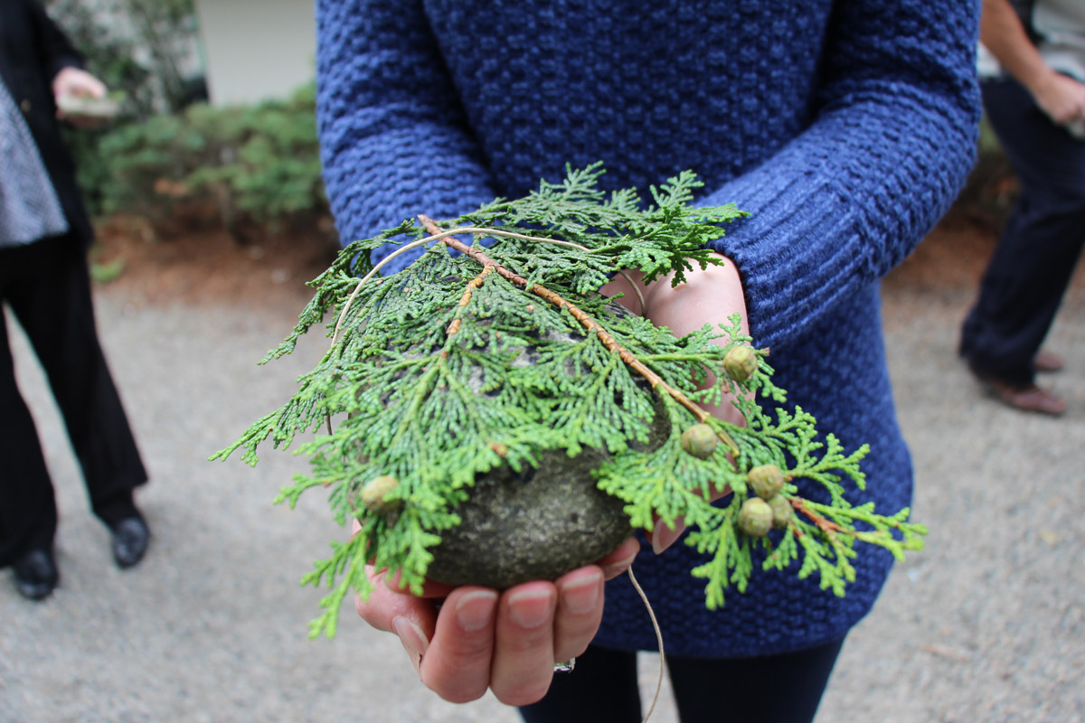 branches-and-hands.jpg