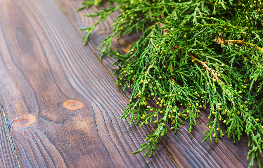Pine-and-Wood.jpg