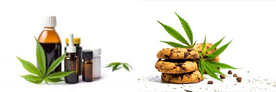 Cannabis-Products.jpg