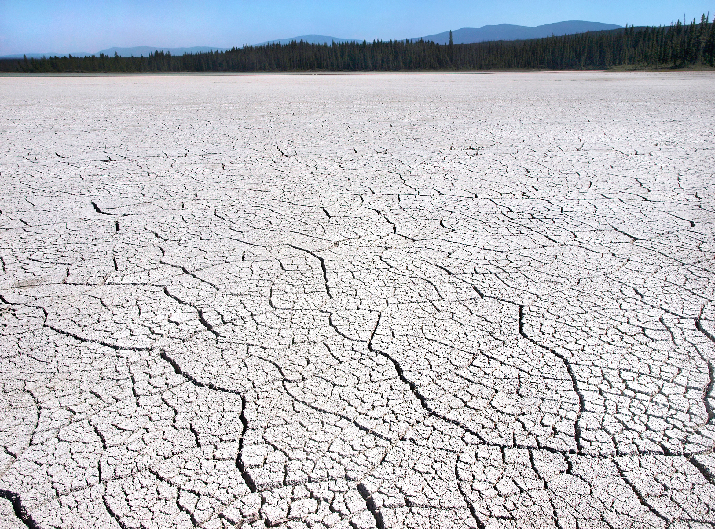 landscape-and-people.jpg